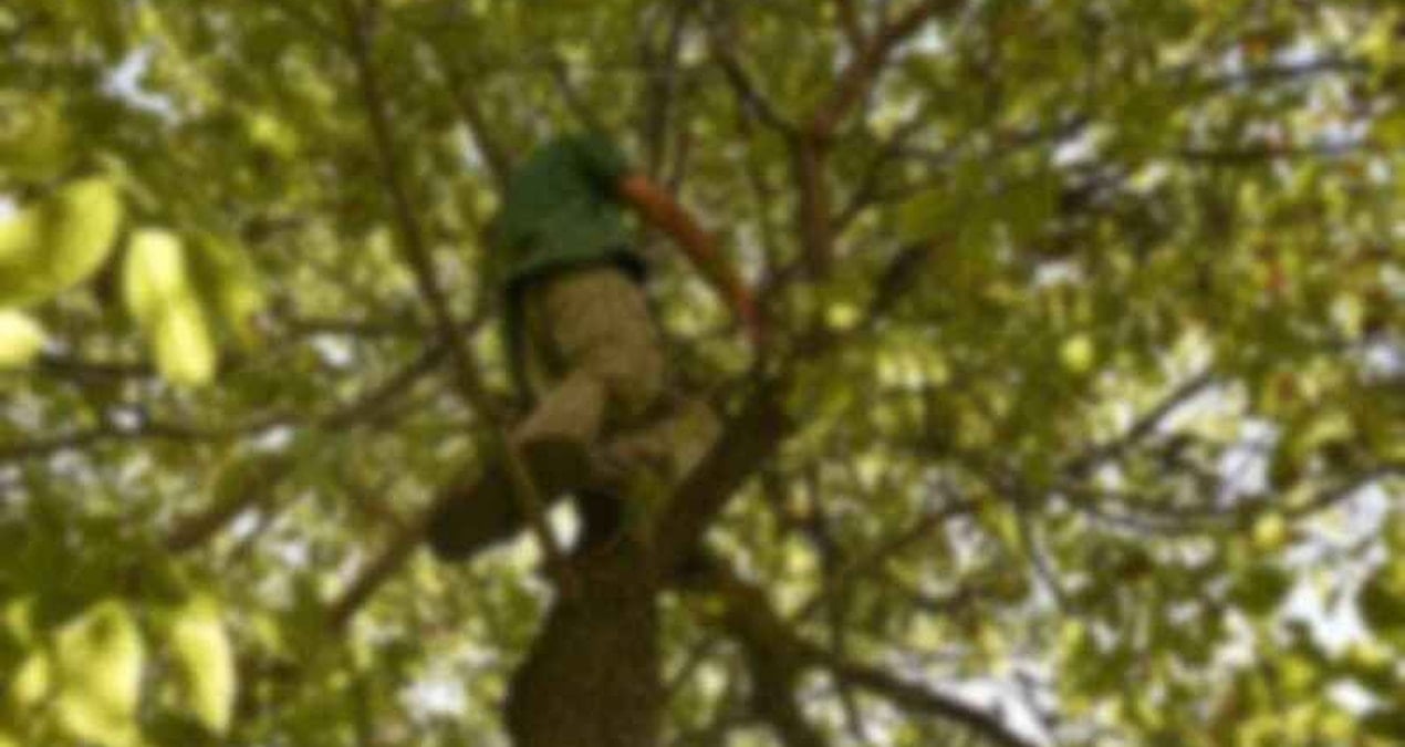 agactan dustu hastanede oldu WC3Z3qzF