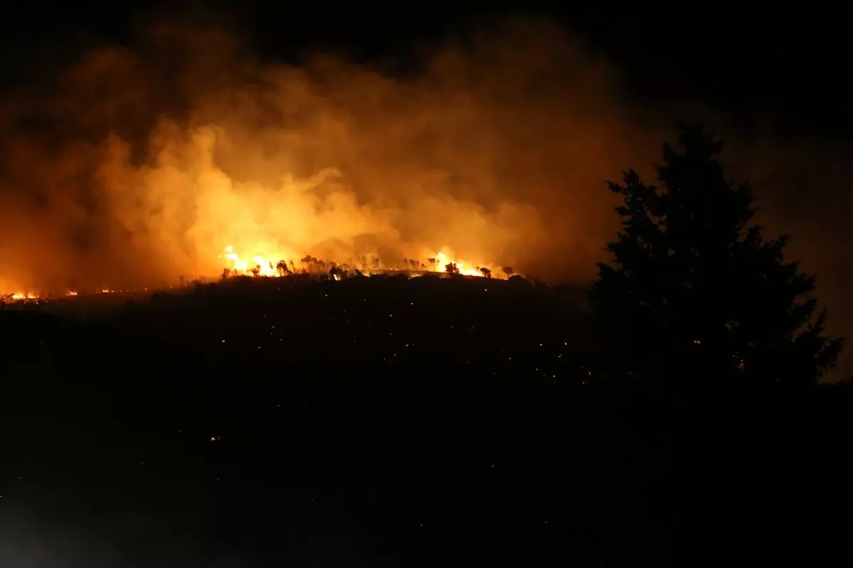 bursada orman yangini kontrol altinda pNWArzOk