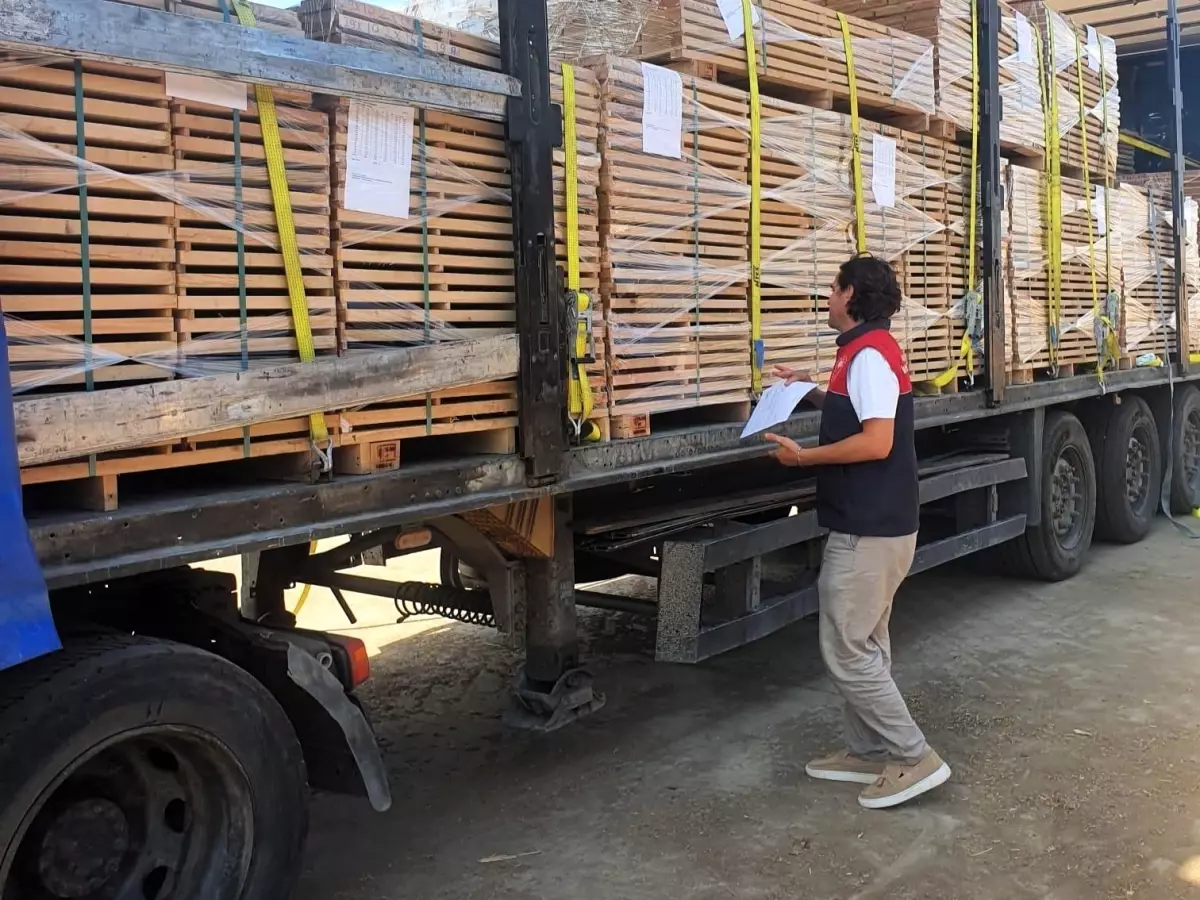 kirklarelinde ihracat denetimi EUKgMcV1