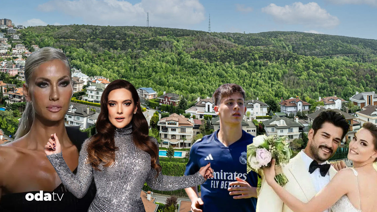 sosyetik sitede fare panigi acarkent alarma gecti p7tXSP3d