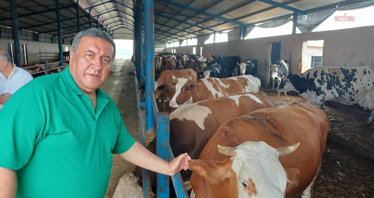 gurer et fiyatlarina isyan etti uretici degil ithalat kazaniyor 4NBqsQYz.jpg