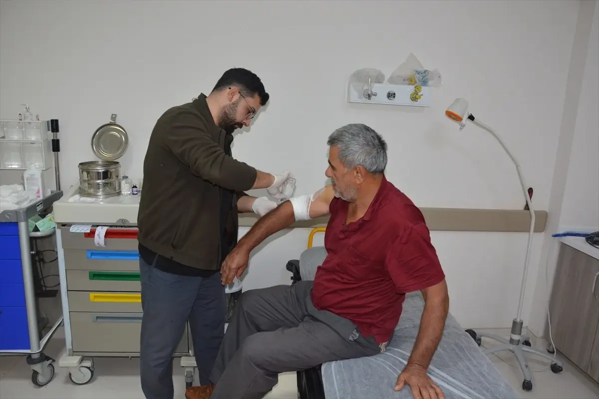 kestane toplarken ayidan kacan ciftci yaralandi CgY4egm4.jpg